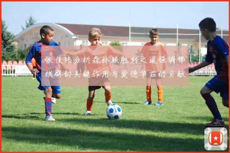 张佳玮分析森林狼胜利之道强调锋线群的关键作用与爱德华兹的贡献