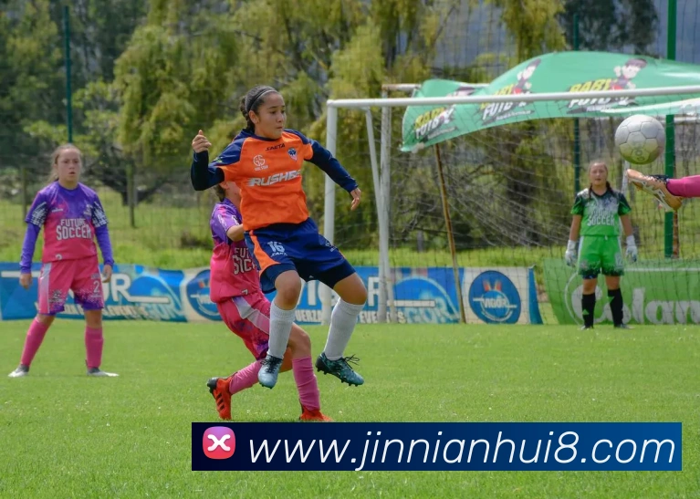 金年会平台生态图